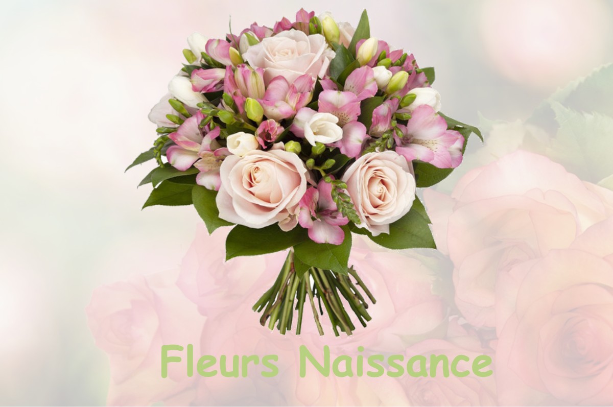 fleurs naissance CHUZELLES