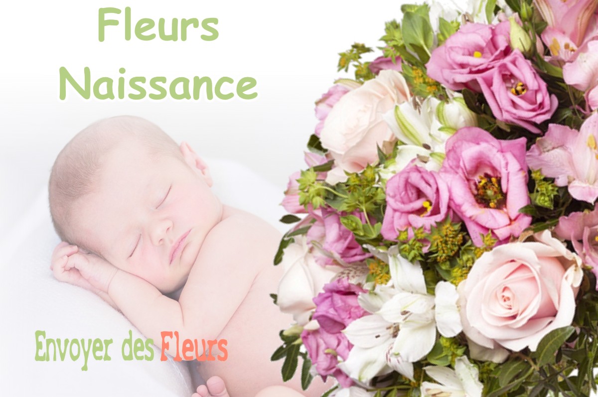 lIVRAISON FLEURS NAISSANCE à CHUZELLES